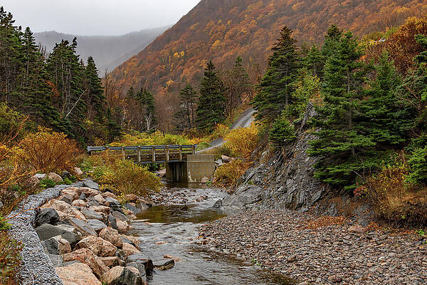 Autumn Colors by a Mountain Stream Wall Art