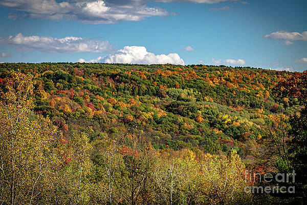 Fall Photograph - Autumn In Penn Yan by William Norton