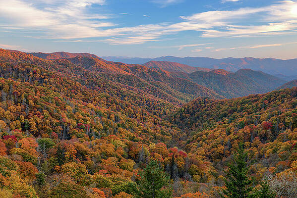Fall Wall Art featuring the photograph Autumn In The Smokies by Michael Collins