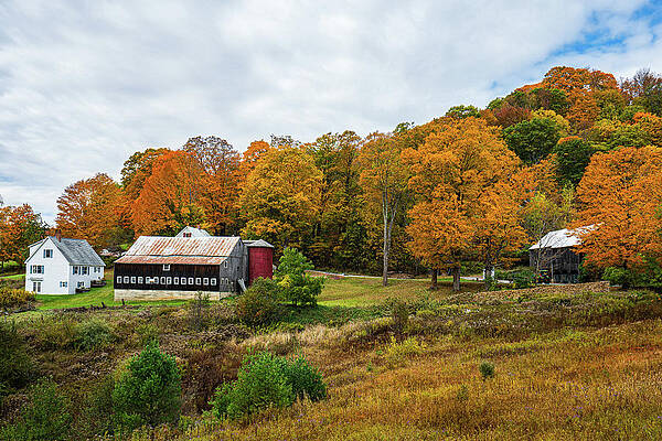 Vermont Photograph - Autumn In Vermont In The Woodstock Countryside 6 by Ron Long Ltd Photography