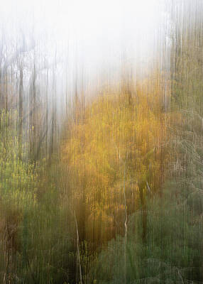 Photograph - Autumn Kaleidoscope 3 by Charnwood Photography Fine Art