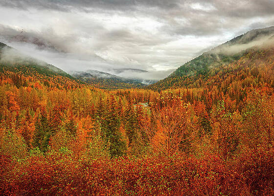 Serene Photograph - Autumn Landscape Chugach Mountains by Dan Sproul