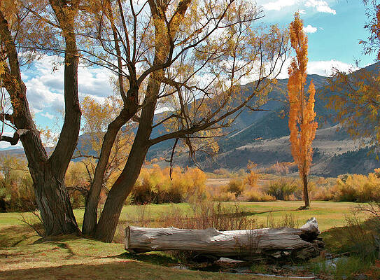 Autumn Landscape with Mountains Photograph