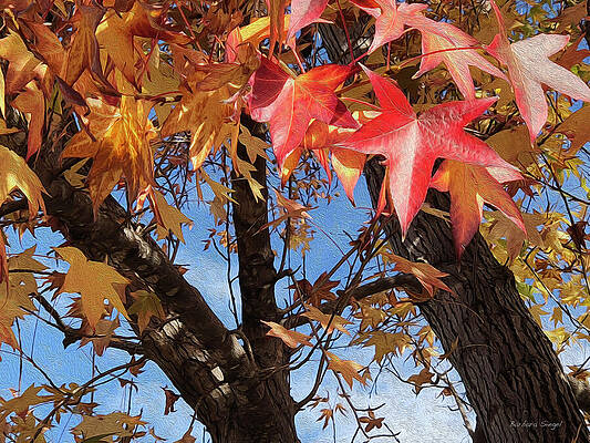 Autumn Leaves Against Blue Sky Wall Art