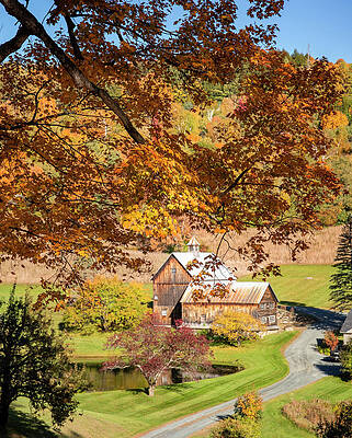Wall Art featuring the photograph Autumn Leaves On Sleepy Hollow Farm by Dan Sproul