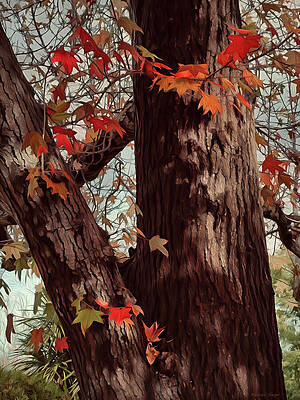 Autumn Leaves on Tree Trunk Photograph