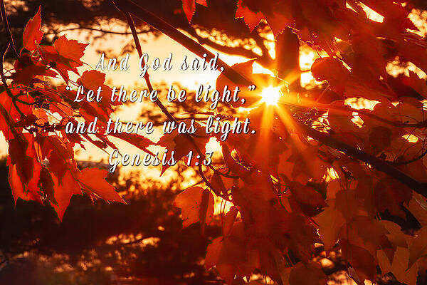 Autumn Leaves with Sunburst Wall Art