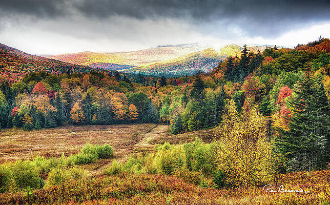 Mountain Photograph - Autumn Meadow And Mountains 7337 by Dan Beauvais