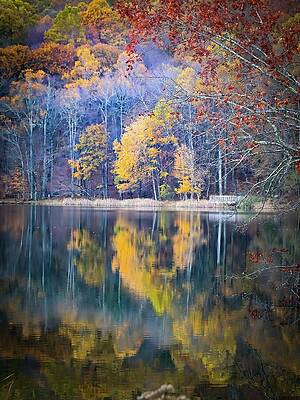 Wall Art featuring the photograph Autumn Mirror At Abbott Lake by Deb Beausoleil