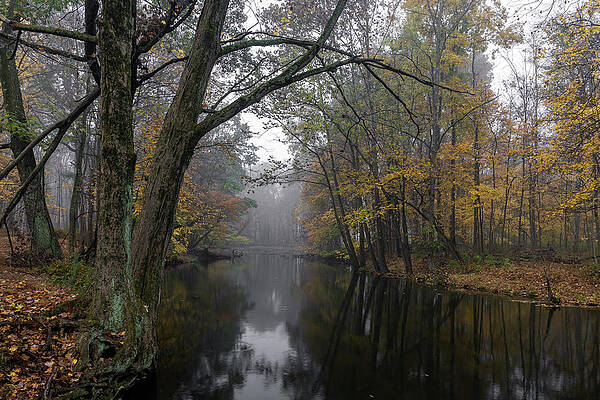 Beautiful Photograph - Autumn Mist by Todd Wilkinson