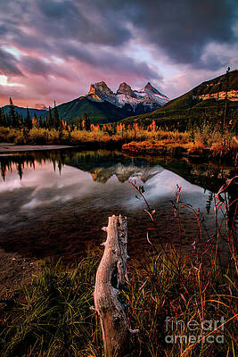 Wall Art featuring the photograph Autumn Morning In Canmore by Thomas Nay