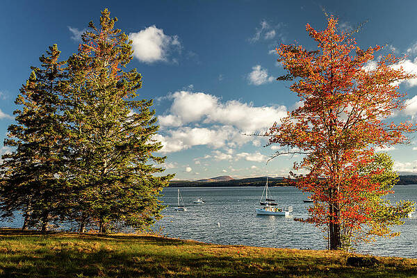 Fall Photograph - Autumn Morning In Maine 2 by Craig A Walker