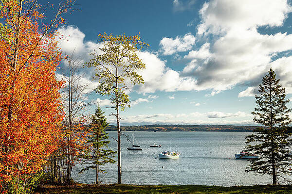 Fall Photograph - Autumn Morning In Maine by Craig A Walker