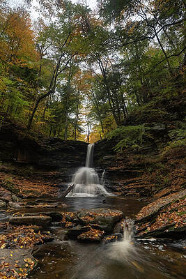 Large Wall Art featuring the photograph Autumn Oasis by Todd Wilkinson