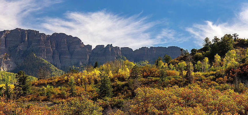 Yellow Wall Art featuring the photograph Autumn On Cimarron Ridge by Kevin Schwalbe