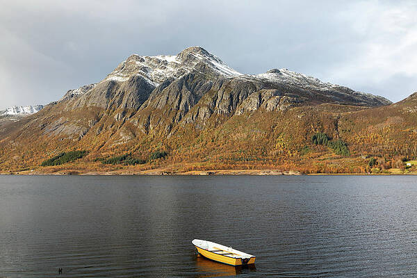 Wall Art featuring the photograph Autumn Palette by Nicholas Blackwell