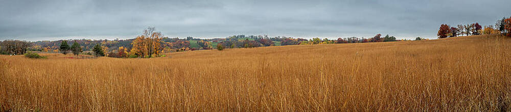Landscape Photograph - Autumn PANO_0033 by Mark Triplett