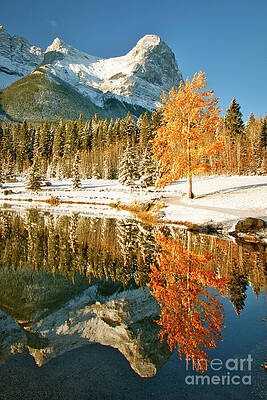 Autumn Reflection in Mountain Lake Wall Art
