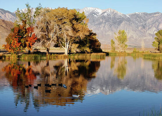 Autumn Reflection on a Tranquil Lake Photograph