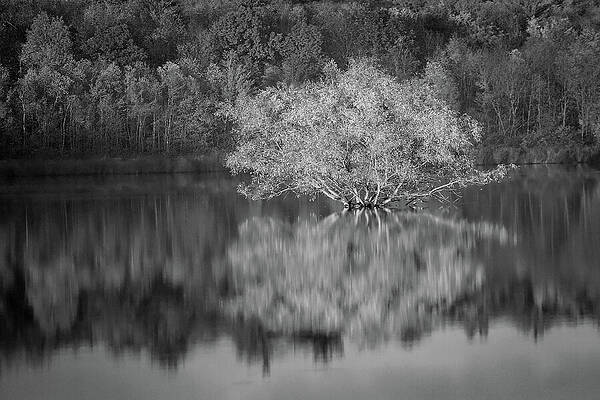 Reflection Wall Art featuring the photograph Autumn Reflection by Steven David Roberts