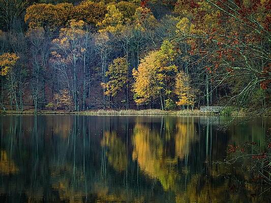 Nature Photograph - Autumn Reflections At Abbott Lake by Deb Beausoleil