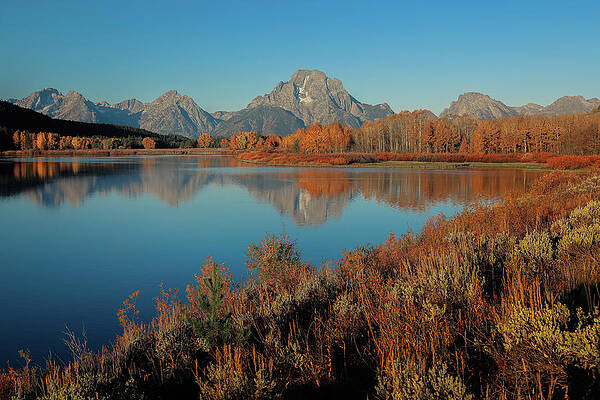 Wall Art featuring the photograph Autumn Reflections At Oxbow Bend by Dan Sproul