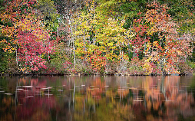 Fall Wall Art featuring the photograph Autumn Reflections by Dave King