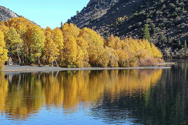 Autumn Reflections on a Tranquil Lake Photograph