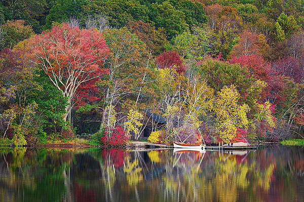 Autumn Reflections on Serene Lake Wall Art