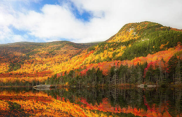 Reflection Wall Art featuring the photograph Autumn Reflections On Beaver Pond New Hampshire by Dan Sproul