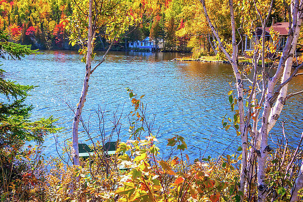 Serene Lake with Autumn Foliage Wall Art