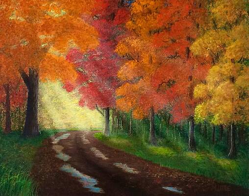 Tree Painting - Autumn Road by Marlene Little