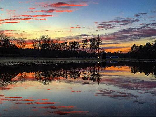 Color Photograph - Autumn Silhouette Reflections by Greg Lane