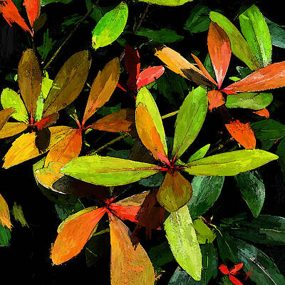 Wall Art featuring the digital art Autumn Splendor by Gina Harrison