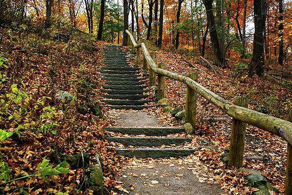 Wisconsin Photograph - Autumn Steps Through Grant Park by Deb Beausoleil