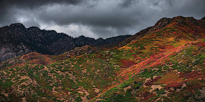 Mountain Photograph - Autumn Storm - Wasatch Mountains, Utah by Abbie Warnock