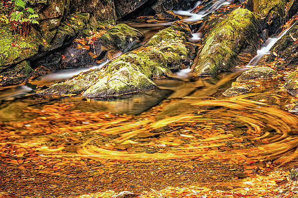 Wall Art featuring the photograph Autumn Swirls by Jeff Sinon