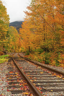 Wall Art featuring the photograph Autumn Train Tracks by Dan Sproul