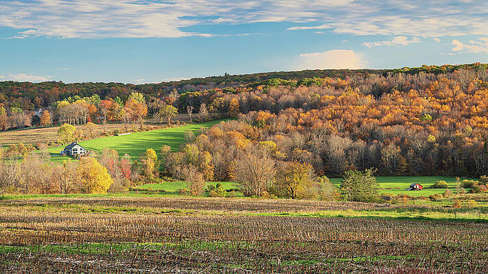 Fall Wall Art featuring the photograph Autumn View by Dave King