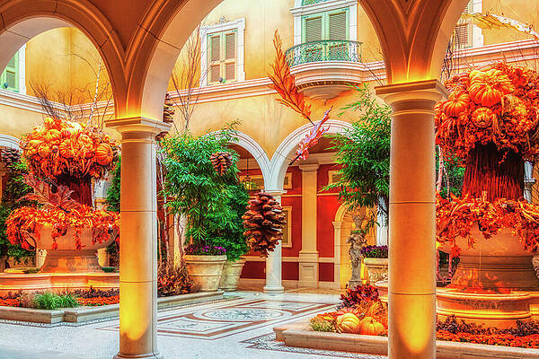 Courtyard with Vibrant Autumn Decor Photograph