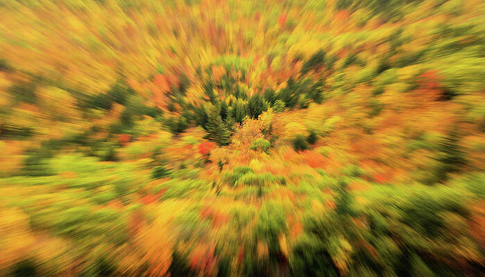 Wall Art featuring the photograph Autumn Zoom Natural Abstract by Dan Sproul