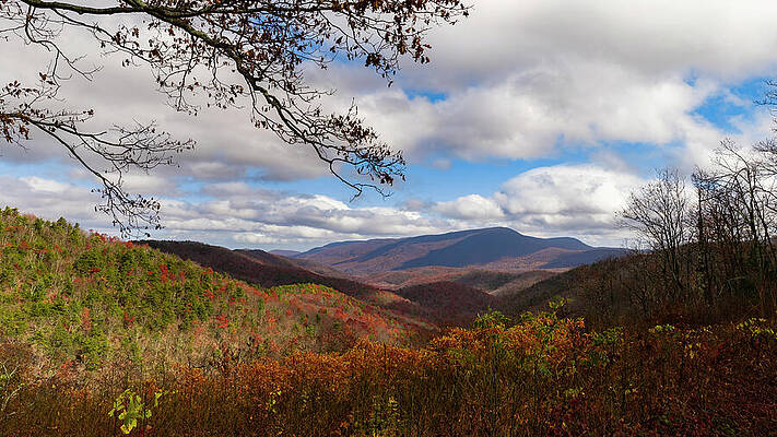 Sky Wall Art featuring the photograph Autumn's End by David Fountain