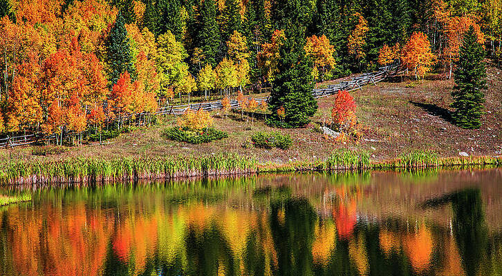 Yellow Wall Art featuring the photograph Autumn's Reflection by Kevin Schwalbe