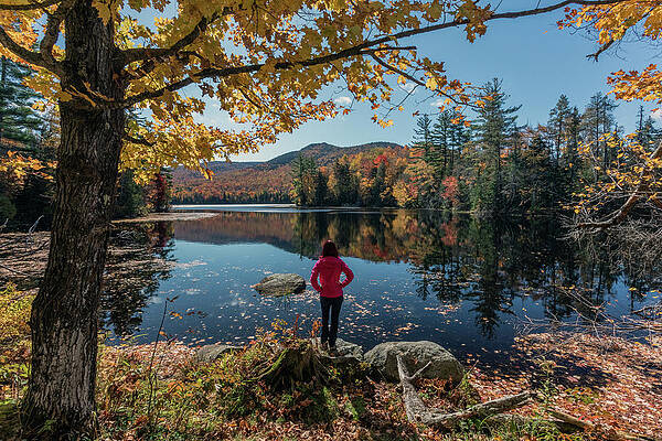 Large Wall Art featuring the photograph Autumn's Stage by Todd Wilkinson