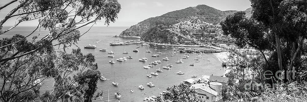 Wall Art featuring the photograph Avalon Bay Catalina Island Black And White Panoramic Photo by Paul Velgos