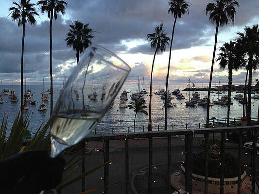 Sunset Photograph - Avalon Sunset Cheers On Catalina Island by Bonnie Colgan