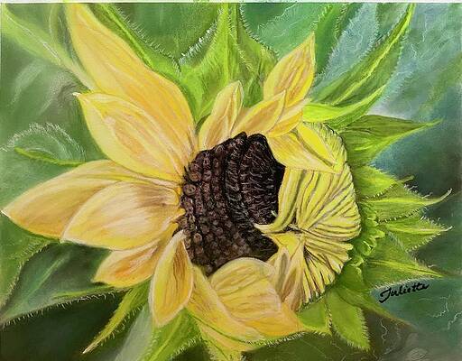 Wall Art featuring the pastel Awakening by Juliette Becker