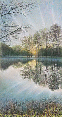 Awakening by Terry Edeker