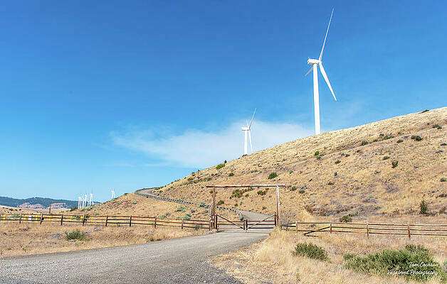 Sky Wall Art featuring the photograph Azure Sky Wind Turbines And Ranch Road by Tom Cochran