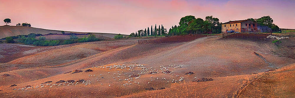 Natural Photograph - Back Road To Siena by Maryanne Keeling